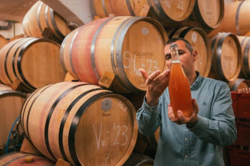 From Makarska Riviera : Wine Tasting Grabovac Tour - Introduction to the Experience