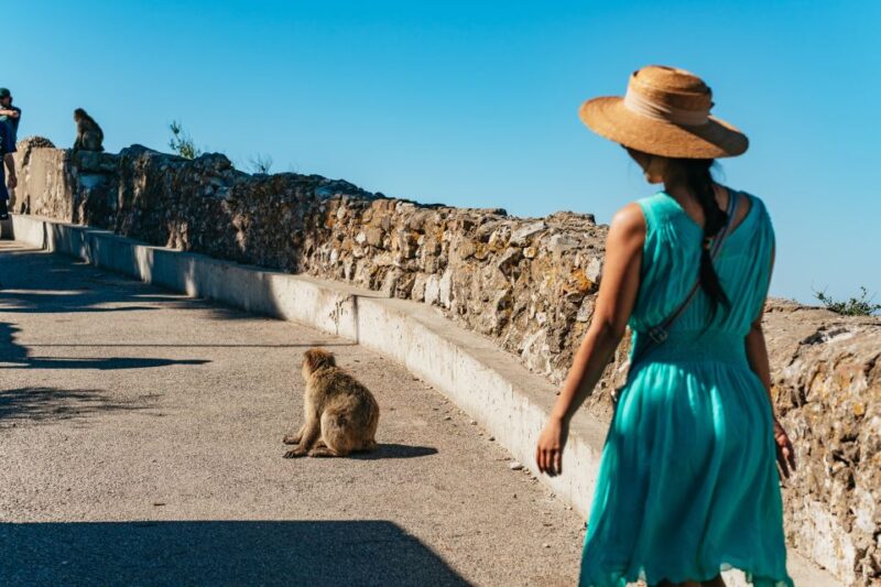 From Malaga and Costa Del Sol: Gibraltar Tour - Itinerary Details