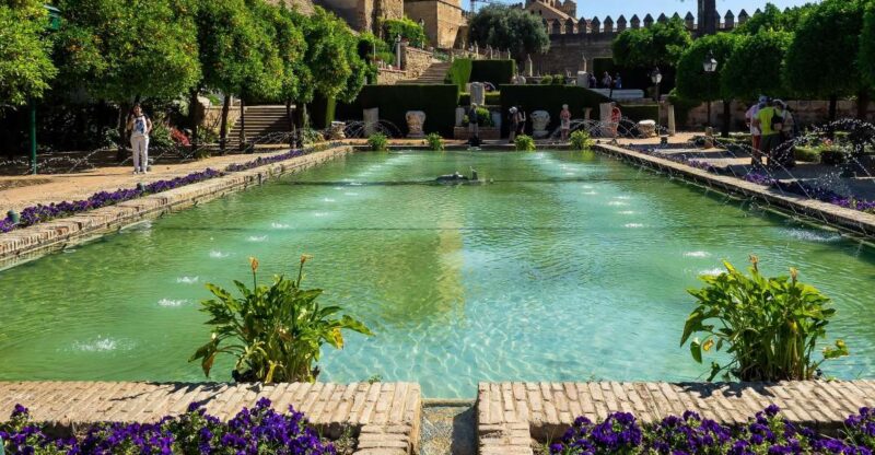 From Malaga: Córdoba Private Day Trip and La Mezquita - Experience and Convenience