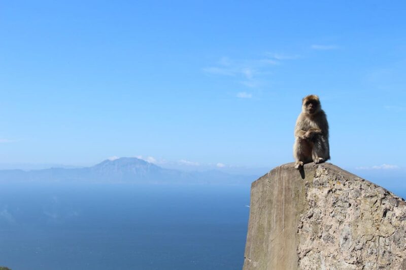 From Malaga: Gibraltar and Tangier Private Day Trip - Itinerary and Transportation