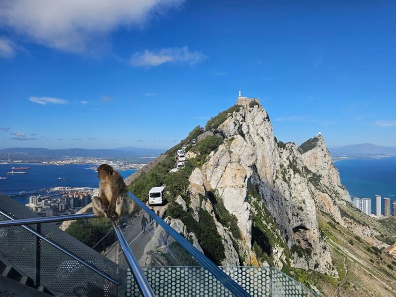 From Malaga: Gibraltar and Tangier Private Day Trip - Highlights and Experiences