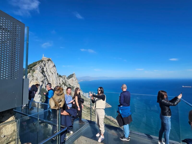 From Malaga: Gibraltar and Tangier Private Day Trip - Inclusions and Exclusions