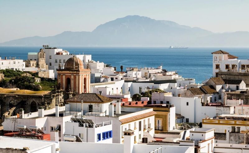 From Malaga: Guided Tour in Tarifa With Whale-Watching and Dolphin Watching - Key Points