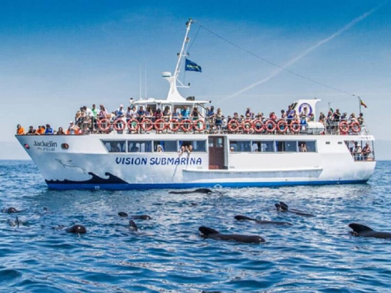 From Malaga: Guided Tour in Tarifa With Whale-Watching and Dolphin Watching - Detailed Itinerary