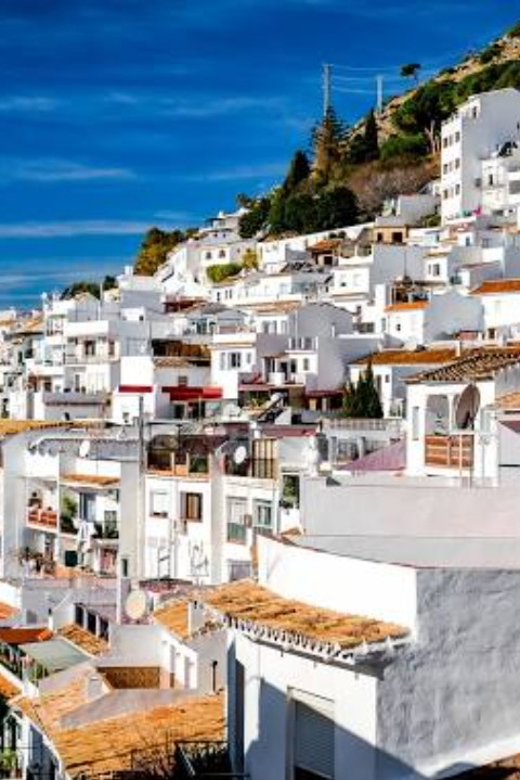 From Malaga: Marbella, Mijas, and Puerto Banus Tour - Highlights