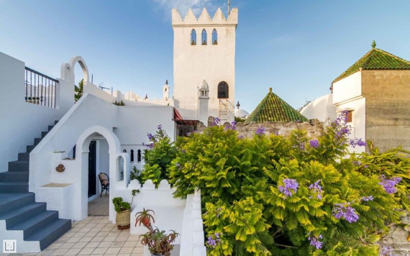 From Malaga or Tarifa: Private Tangier Day Tour - Experience Highlights