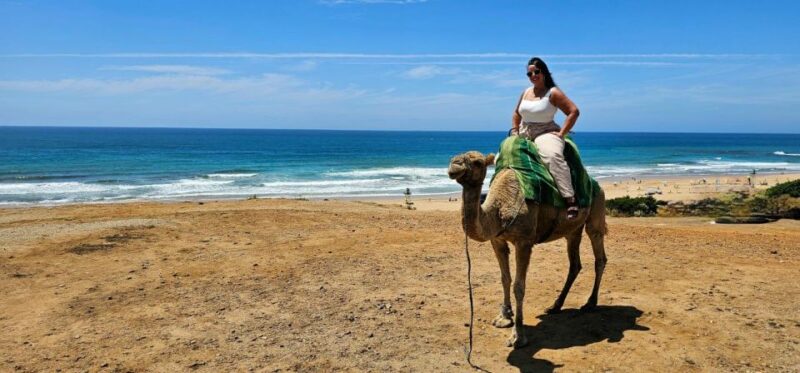 From Malaga or Tarifa: Private Tangier Day Tour - Important Information