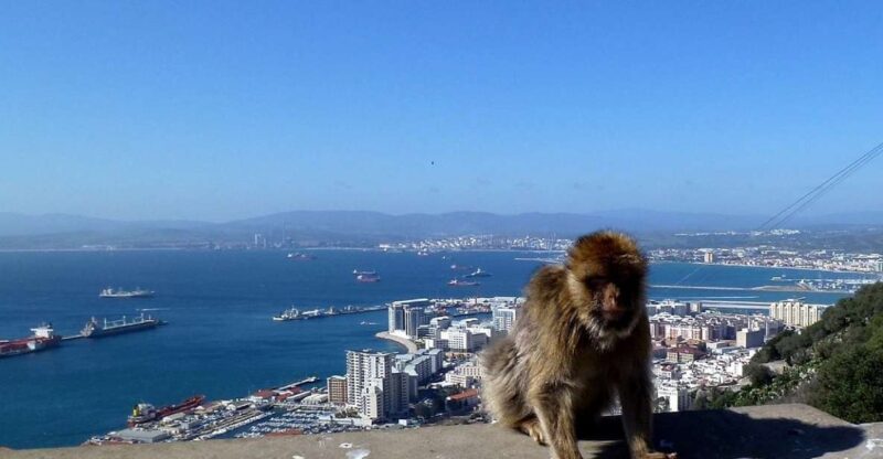 From Malaga: Private Gibraltar Highlights Day Trip - Itinerary Highlights