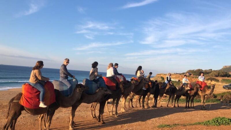 From Malaga: Private Tangier Day Tour - Itinerary and Transportation Details