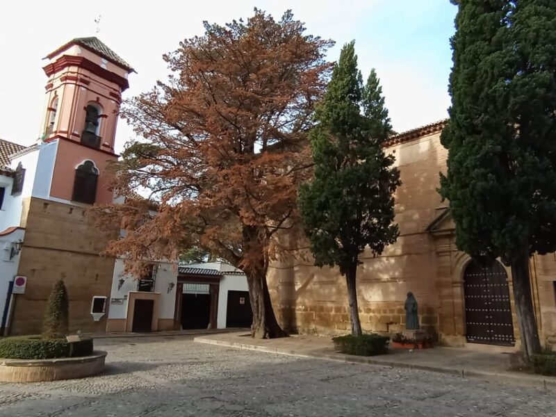From Málaga: Private Tour to Ronda and Setenil - Exploring Ronda