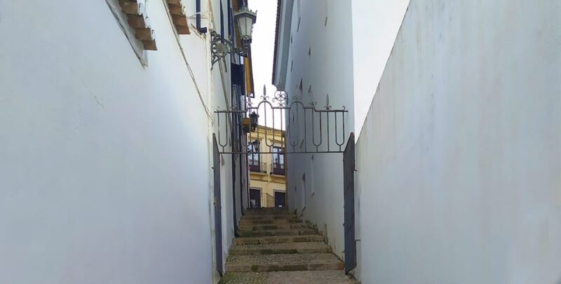 From Malaga: Ronda and Setenil Tour with Tourist Train - To sum it up, this tour is best suited for those who want a reliable, immersive, and scenic experience with the convenience of organized transport and expert insights. For travelers eager to see the highlights with a bit of personal freedom, it’s a perfect blend of guided storytelling and self-directed exploration.