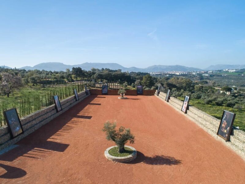 From Málaga: Ronda Experience With Oil Tasting - Important Considerations