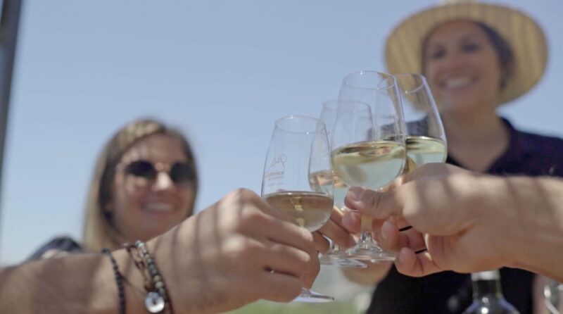From Málaga: Ronda, Wine & Olive Oil Tasting Small Group - Tour Experience and Guide