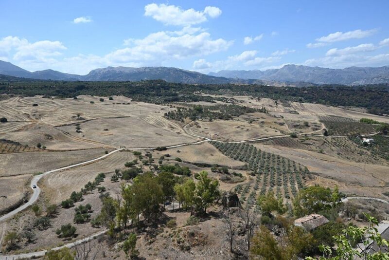 From Malaga: Ronda Y Setenil De La Bodegas Day Trip by Coach - Key Points