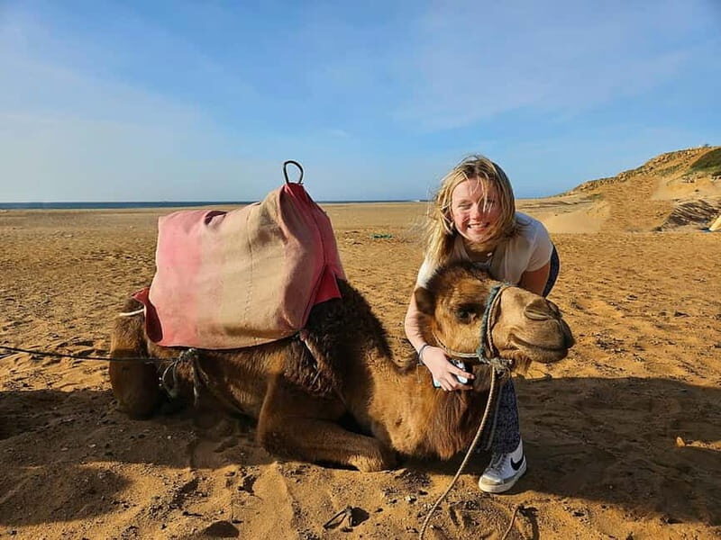 From Malaga: Tangier Day Trip with Ferry, Camel & Souks - Key Points