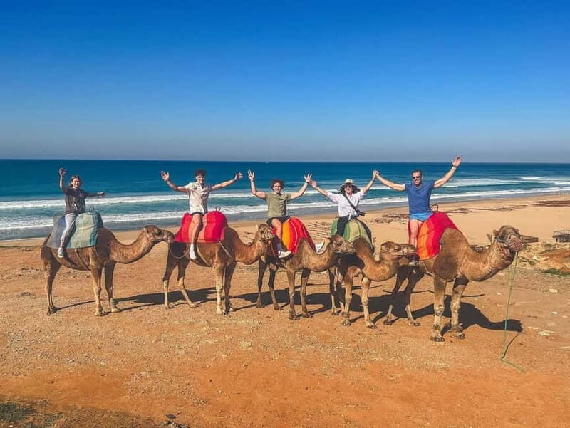 From Malaga: Tangier Day Trip with Ferry, Camel & Souks - Final Thoughts