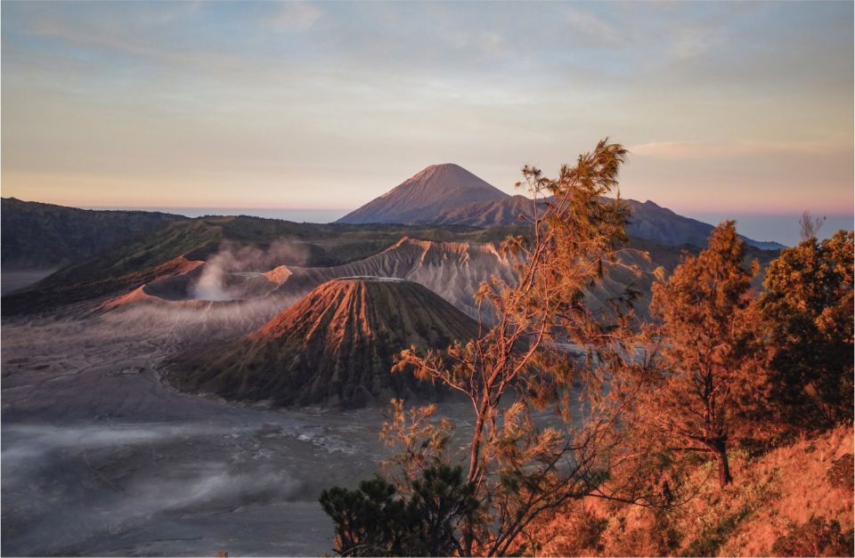 From Malang: Mount Bromo Sunrise Day Trip With Breakfast - Jeep Tour