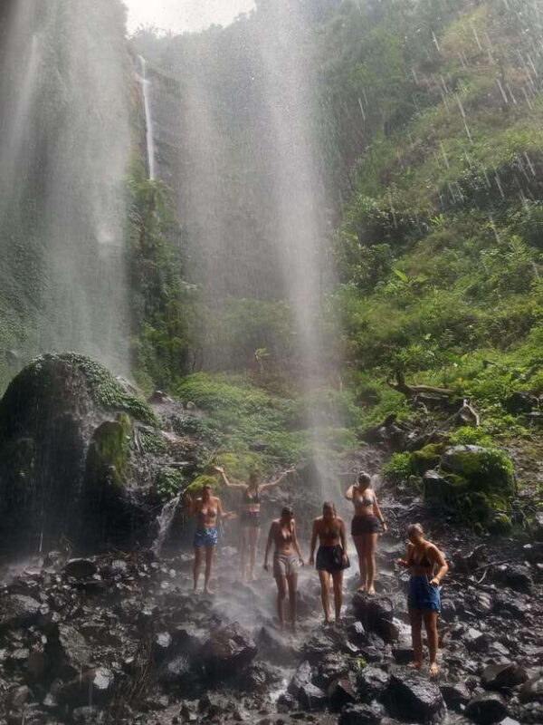 From Malang / Surabaya: Madakaripura Waterfall Guided Tour - A Deep Dive into the Tour Experience
