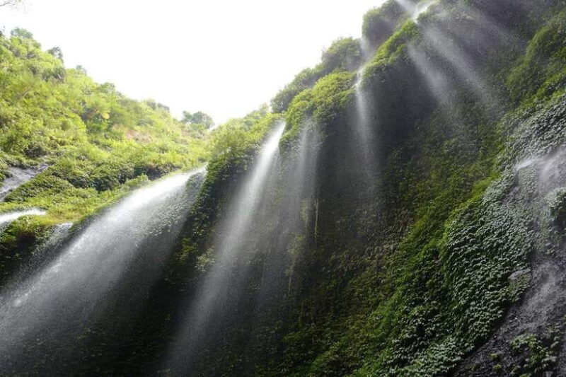 From Malang / Surabaya: Madakaripura Waterfall Guided Tour - Final Thoughts
