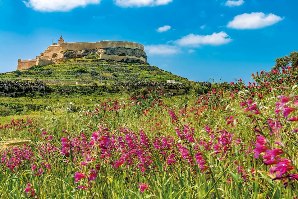 From Malta: Gozo Day Trip Including Ggantija Temples - Additional Considerations