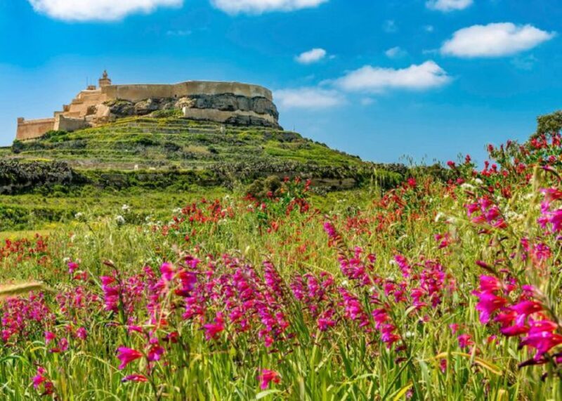 From Malta: Gozo Full-Day Tour with Guide, Temples, & Train - A Detailed Look at the Gozo Full-Day Tour