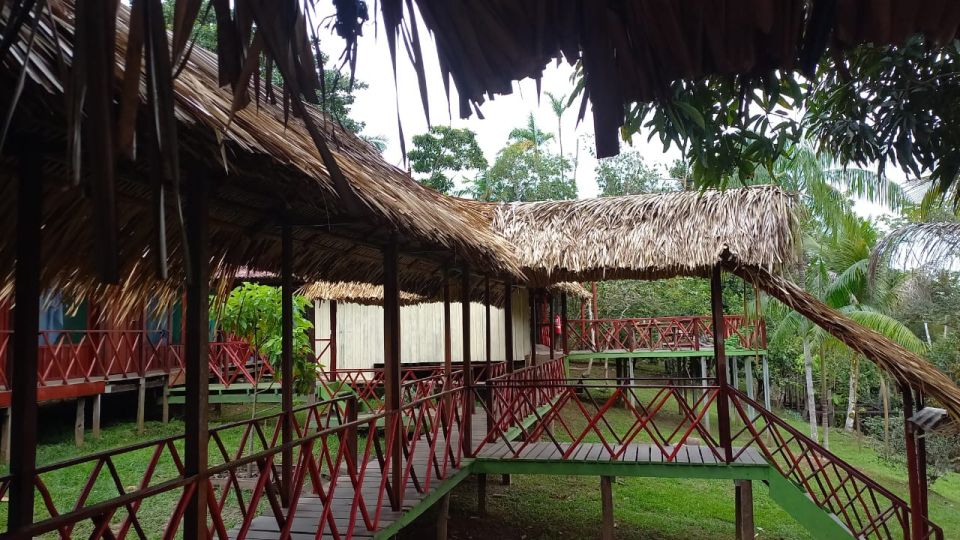 From Manaus: 2-Day Amazon Jungle and Ipanema Lake Excursion - Experience Highlights