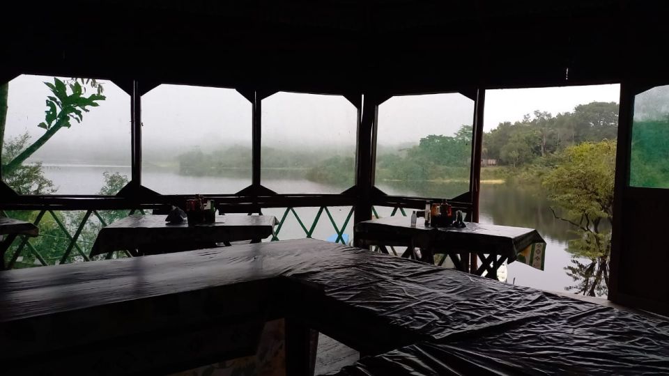 From Manaus: 2-Day Amazon Jungle and Ipanema Lake Excursion - Day 1 Itinerary