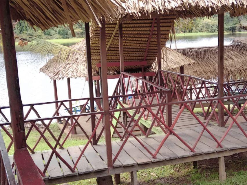 From Manaus: 2-Day Amazon Jungle and Ipanema Lake Excursion - Day 2 Itinerary