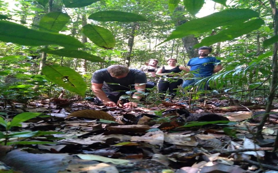 From Manaus: 2-Day Amazon Jungle and Ipanema Lake Excursion - Travel Tips