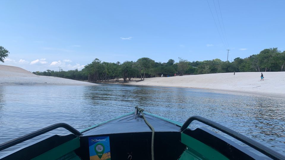 From Manaus: Negro River Half-Day Trip - Transportation and Logistics