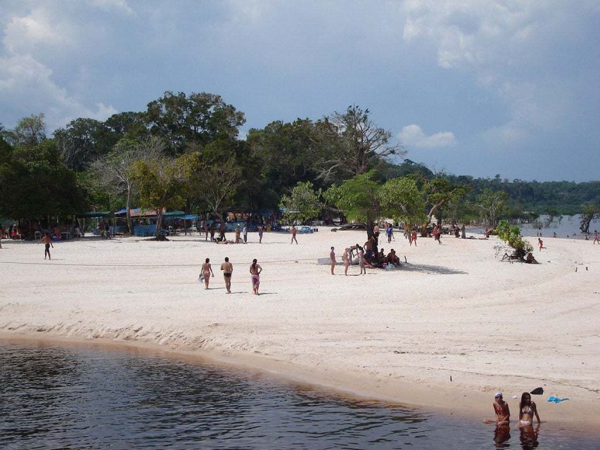 From Manaus: Negro River Half-Day Trip - Review Insights
