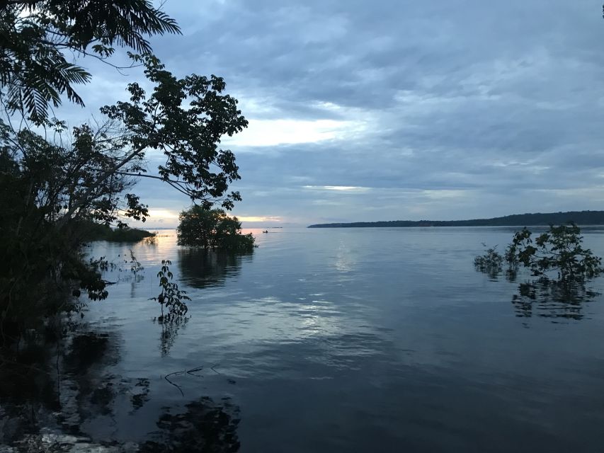 From Manaus: One-Day Amazon Jungle Experience - Review Highlights