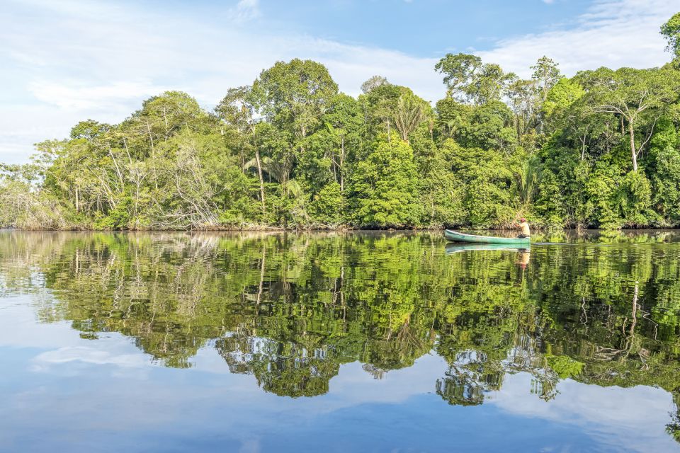 From Manaus: One-Day Amazon Jungle Experience - Frequently Asked Questions