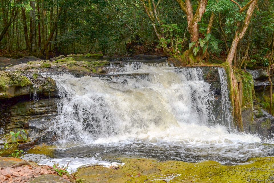 From Manaus: Presidente Figueiredo Waterfalls Daytrip - Travel Tips for Visitors