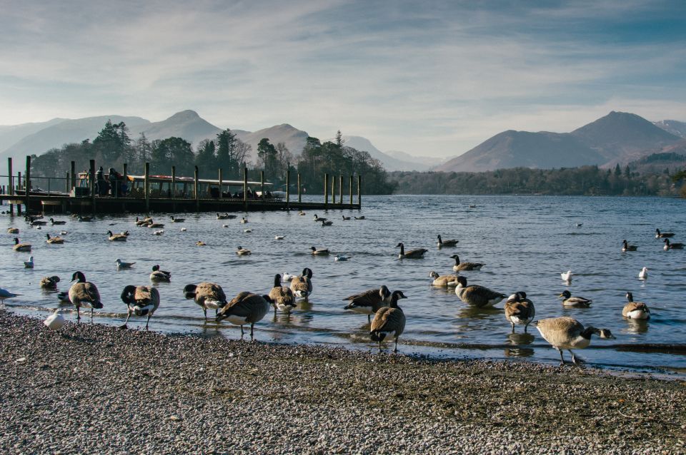 From Manchester: Lake District Including Lake Cruise & Train - Key Points