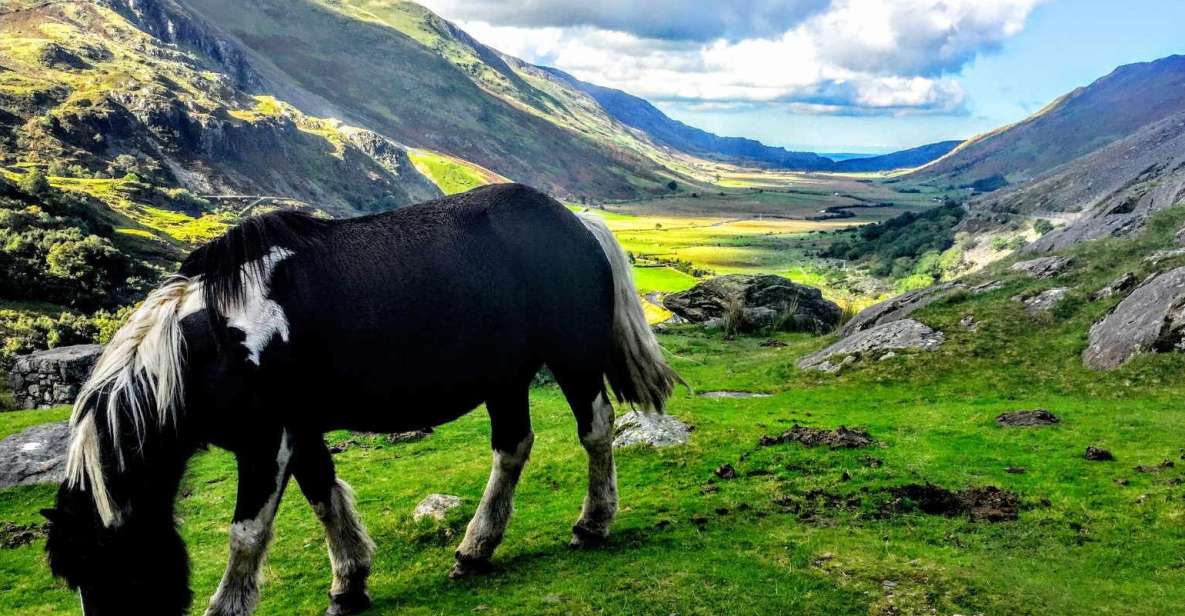 From Manchester: North Wales Sightseeing Adventure Day Trip - How to Book Your Trip