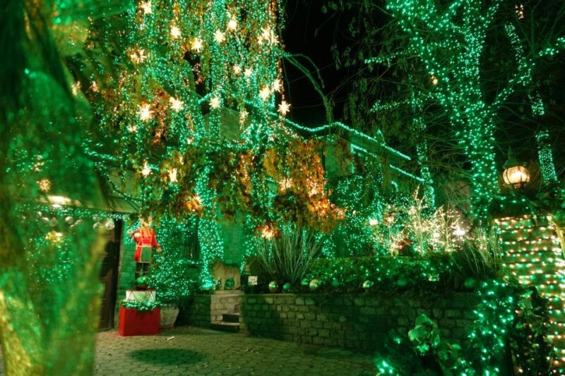 From Manhattan: 4-Hour Christmas Lights Luxury Bus Tour - Final Thoughts