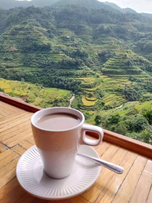 From Manila: Batad Rice Terraces and Tappiya Falls Tour 3D2N - The Practicalities: Transport, Cost, and Group Size