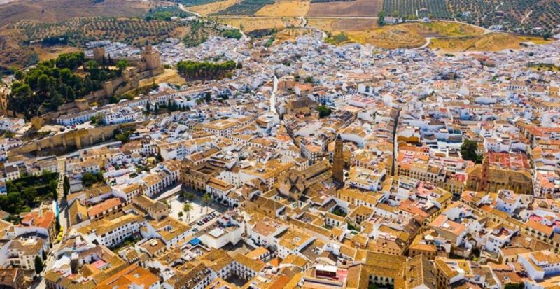 From Marbella: Antequera Wine Tour With Tastings and Lunch - Wineries and Tastings