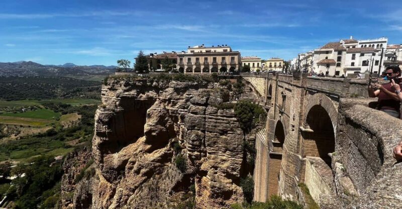From Marbella/Estepona: VIP Tour Ronda + Setenil D. L. Wineries - Tour Overview