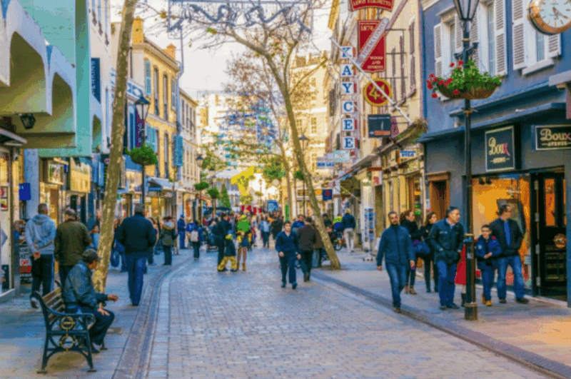 From Marbella: Gibraltar Private Day Trip With Local Guide - Convenient Transportation and Pickup Options