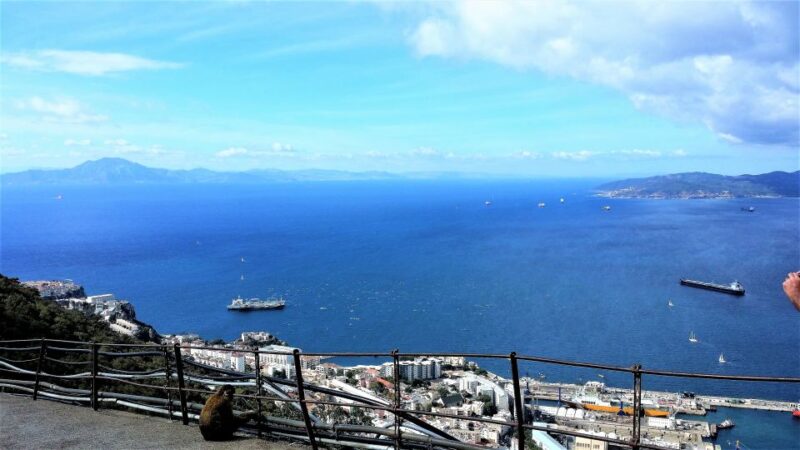 From Marbella: Guided Private Trip to Gibraltar and Estepona - Customer Feedback