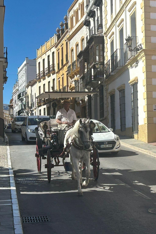 From Marbella: Private VIP Tour Ronda Including Transfer + Tapas - Exploring Rondas History