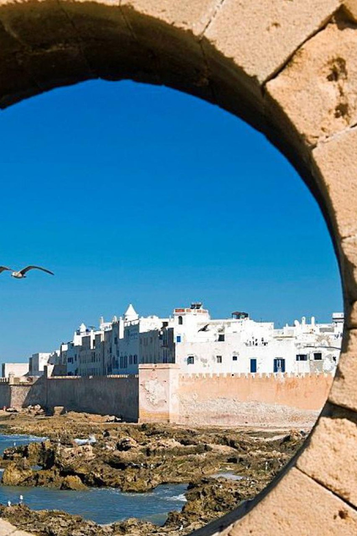 From Marrakech : 10-Days Grand Tour Exploring Morocco - Arrival and Marrakech Exploration