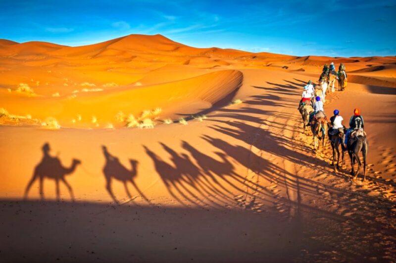 From Marrakech: 2-Day Desert Safari to Zagora & Ben Haddou - Itinerary Highlights