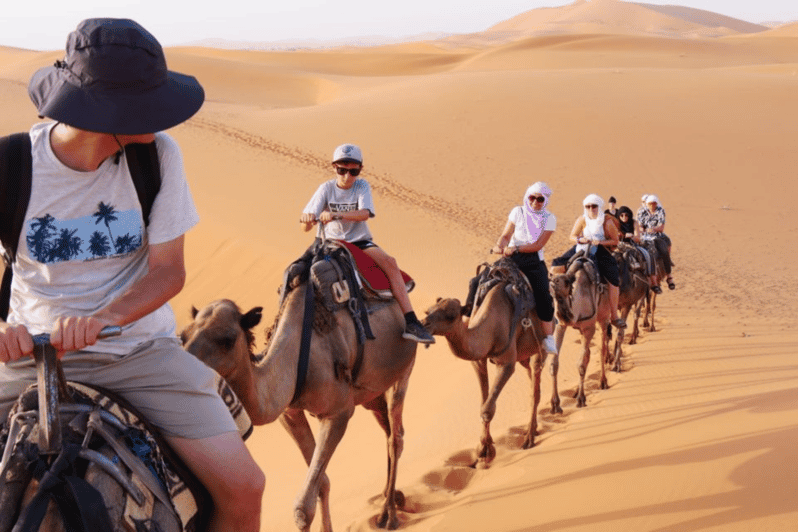 From Marrakech: 2-Day Desert Tour to Zagora & Ait Ben Haddou - Included Experiences