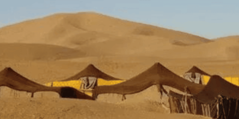 From Marrakech: 2 Day To Zagora Desert & Camel Trek - Journey Through the Draa Valley