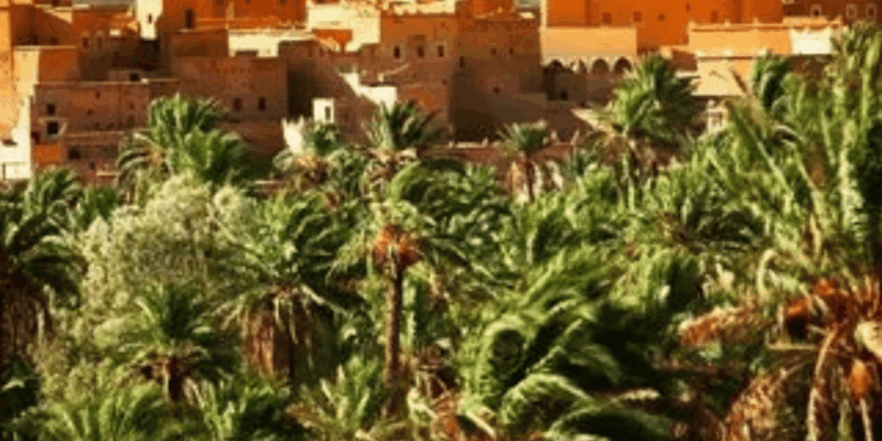 From Marrakech: 2 Day To Zagora Desert & Camel Trek - Overnight in the Sahara Desert