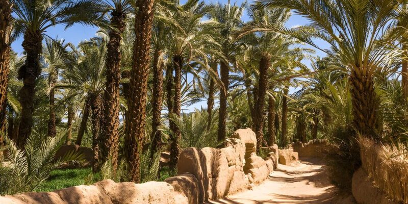 From Marrakech: 2-Day Trip to Zagora and the Atlas Mountains - Important Information and Recommendations