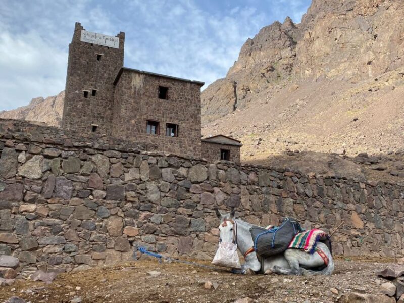 From Marrakech : 2 Days of the Toubkal and 5 Days Désert - Frequently Asked Questions